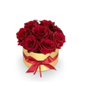 Box červených růží